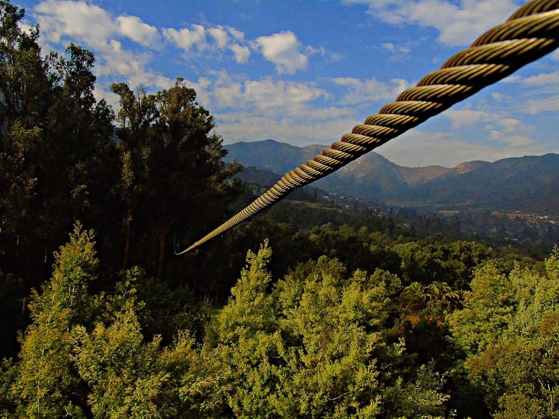 Zip Lining in the Rainforest